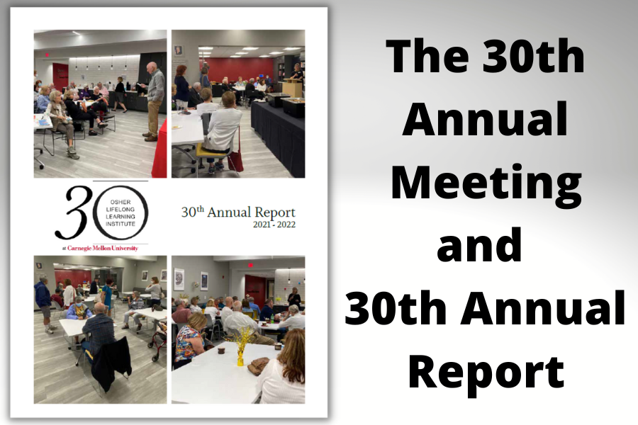 30th annual report cover